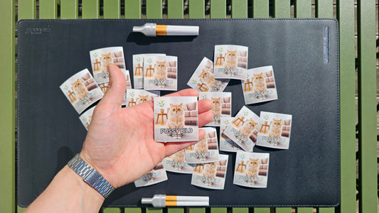 "PUSSYBILD" | STICKER | AUFKLEBER | MALLE | FESTIVAL | PARTY