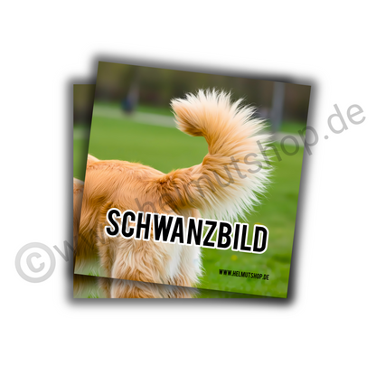 "SCHWANZBILD" | STICKER | AUFKLEBER | MALLE | FESTIVAL | PARTY