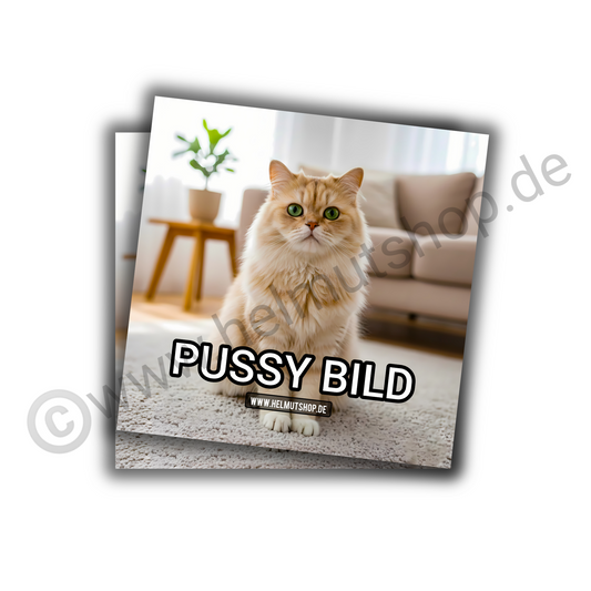 "PUSSYBILD" | STICKER | AUFKLEBER | MALLE | FESTIVAL | PARTY